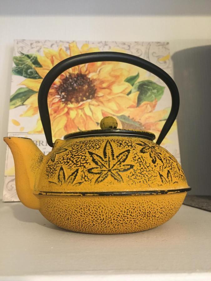 Sancerre Sunflower - Tournesol De سانسير المظهر الخارجي الصورة